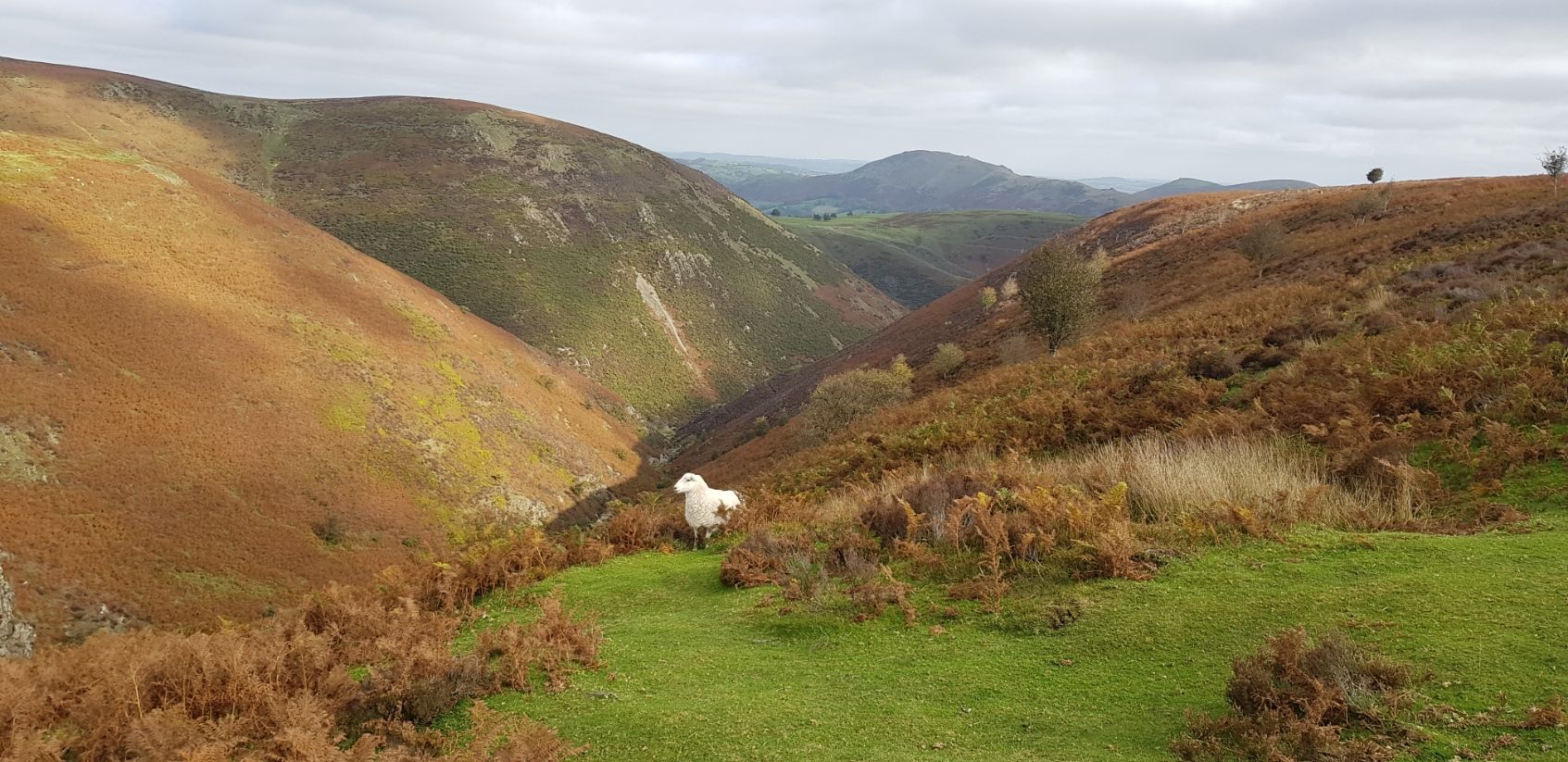 Haddon Hill and Caer Caradoc